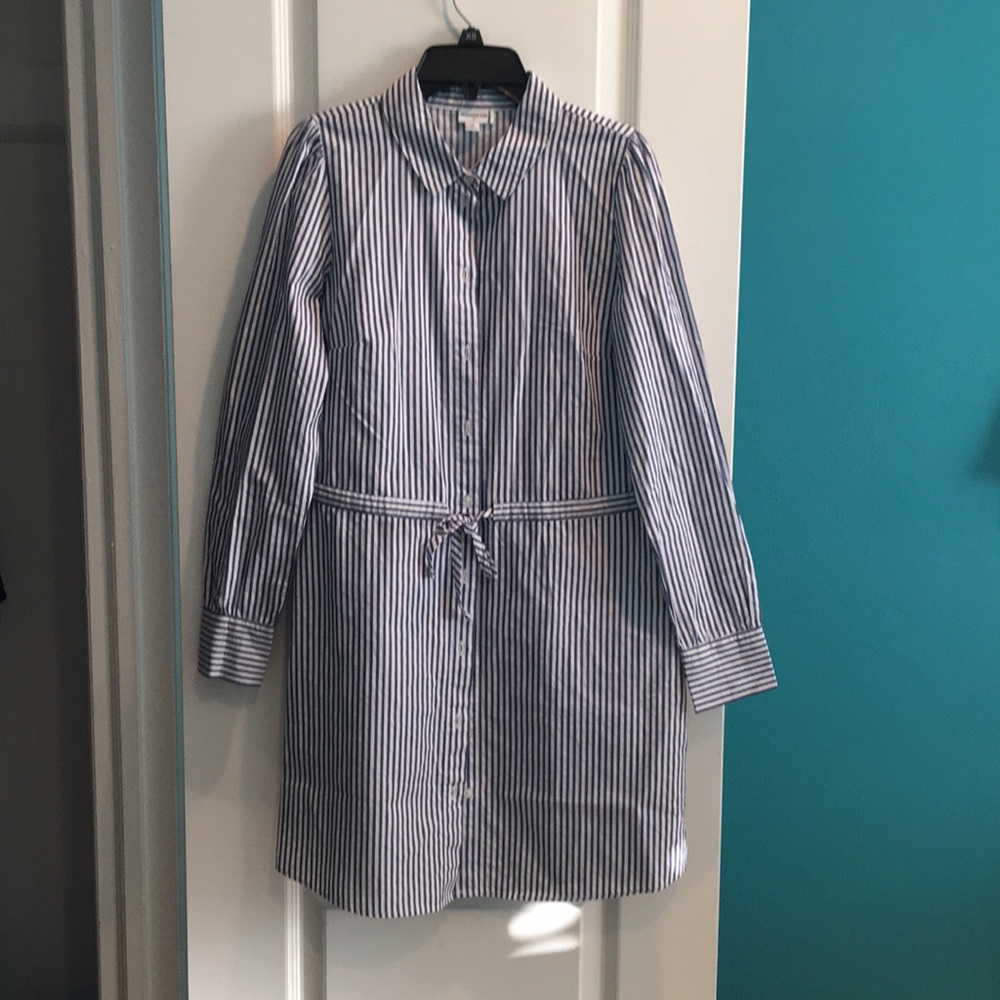 Long Sleeve Blue and White Shirt Dress *Worn Once*